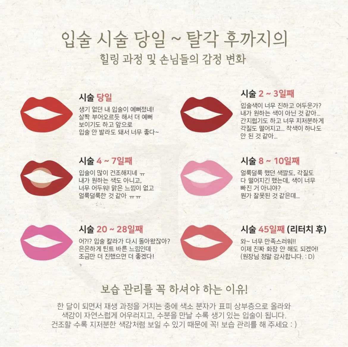 입술 시술 당일부터 탈각 후까지